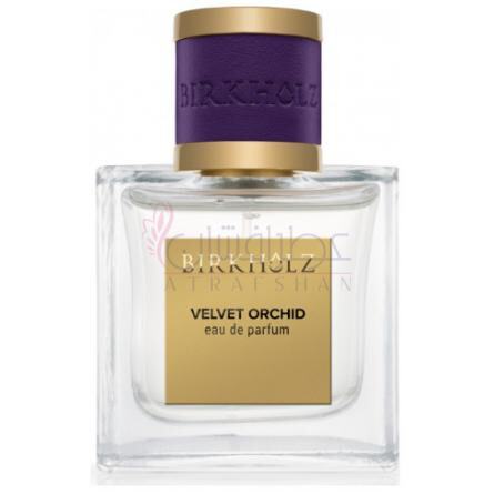 Velvet Orchid-بیرخولز ولوت ارکید