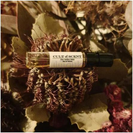 Fire Amber Baby-کالت اف سنت فایر امبر بیبی