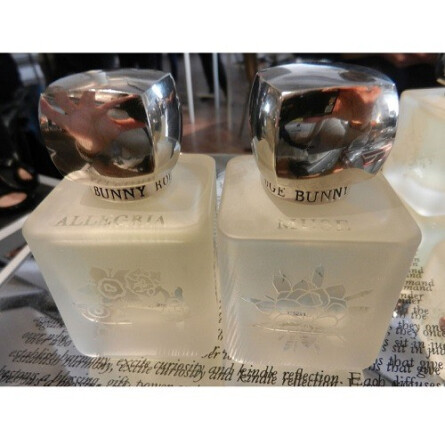 Muse-رژ بانی رژ میوز