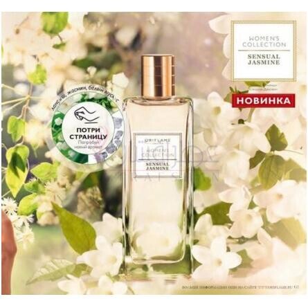 Sensual Jasmine-اوریف لیم سنشوال جاسمین