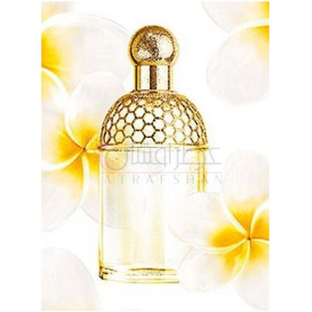 Aqua Allegoria Tiare Mimosa-گرلن اکوا الیگوریا تیاره میموسا