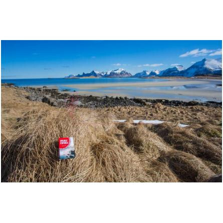 Red (Аромат Карелии - Красный)-اروما کارلیا رد