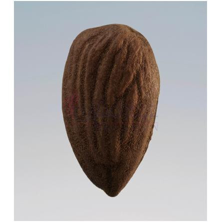 Ash Flower-باربری اش فلاور