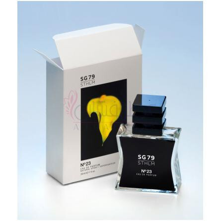 Nº 23-اس جی 79 اس تی اچ ال ام شماره 23