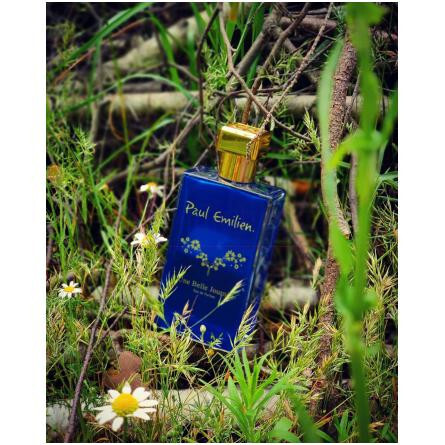 Une Belle Journee-پل امیلیان ان بل جورنی