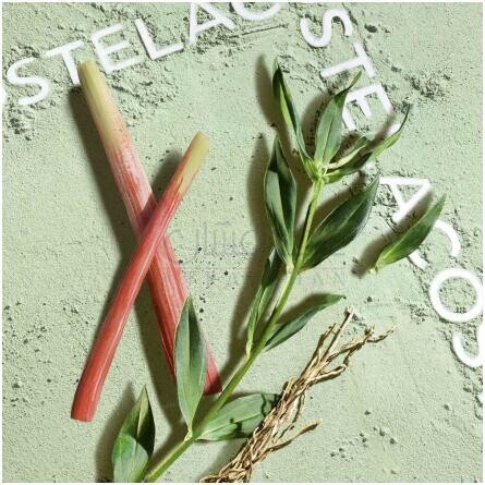 Match Point Cologne Eau de Toilette-لاگوست مچ پوینت کلن ادوتویلت