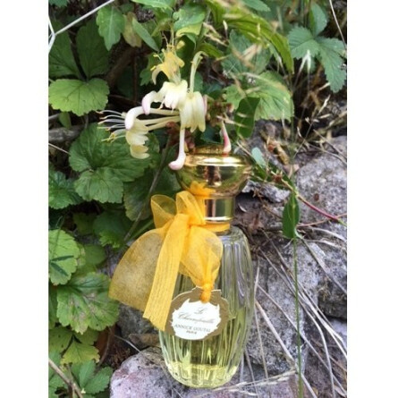 Le Chevrefeuille-آنیک گوتال له چورفیل