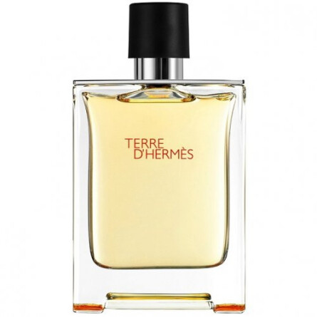 terre edt