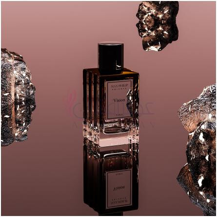 Vision-ماکس فلیپ ویژن