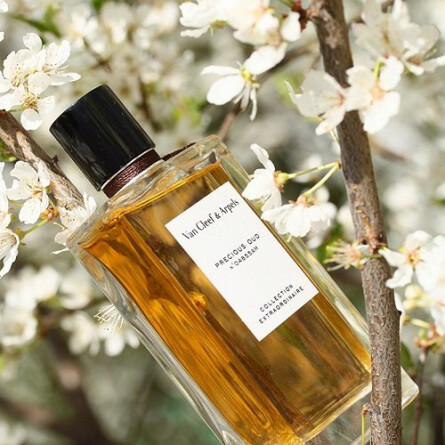 Collection Extraordinaire Precious Oud-ون کلیف اند آرپلس کالکشن اکسترا اوردینیر پرسیوس عود