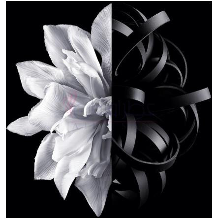 L'Interdit Eau de Toilette (2022)-جیونچی له اینتردیت ادوتویلت 2022