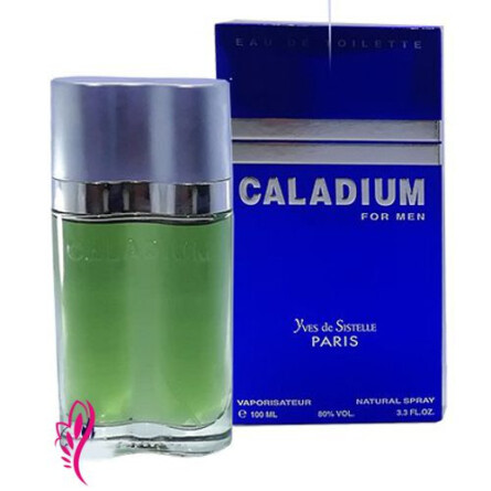 Caladium-ایو د سیستل کالادیوم