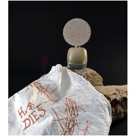 HÆC DIES-فیلیپو سورچینلی هیچ دایز