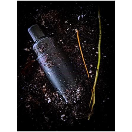 No. XIX Terre Noire-مد ات لن شماره 19 تق نویر