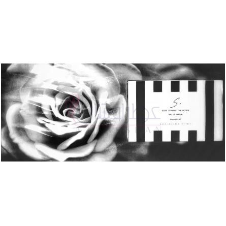 Donatella-اسی استریکز د نوتس دوناتلا