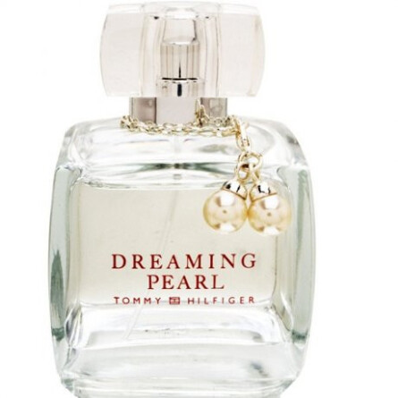 Dreaming-تامی هیلفیگر  دریمینگ