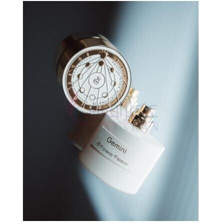 Gemini-تیزیانا ترنزی جمینی