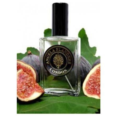 Figue Noire-انجلا فلاندرز فیگ نویر