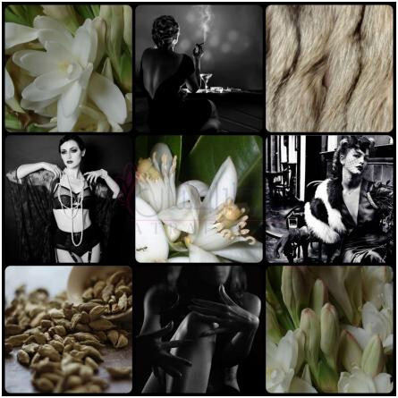 Nuit Noire-مونا دی اوریو نویت نویر