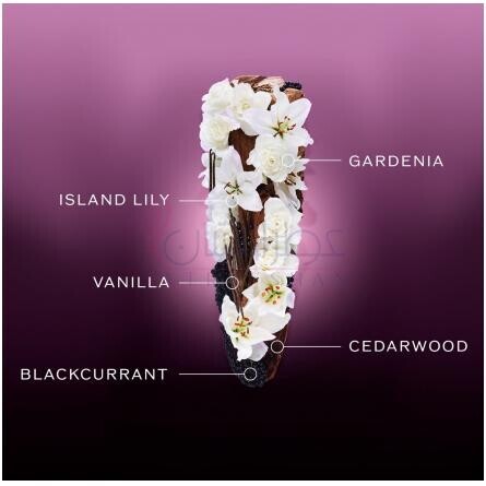 Ginza Night-شیسیدو گینزا نایت