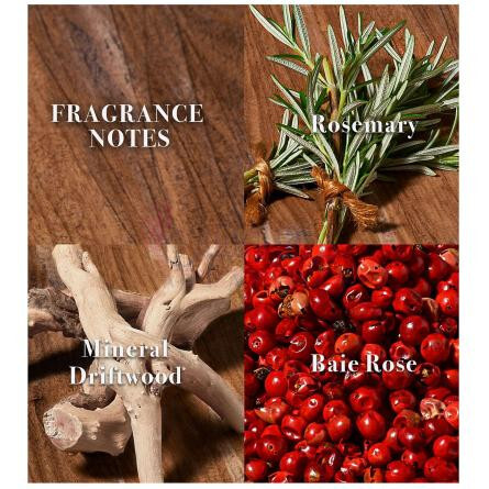 XX Artisan Teal-جان وارواتوس ایکس ایکس ارتیسان تیل