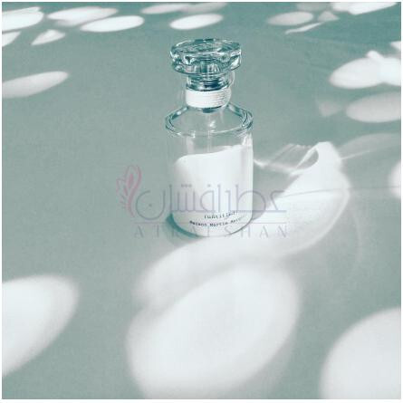 (untitled)-میسون مارتین مارژیلا انتایتلد