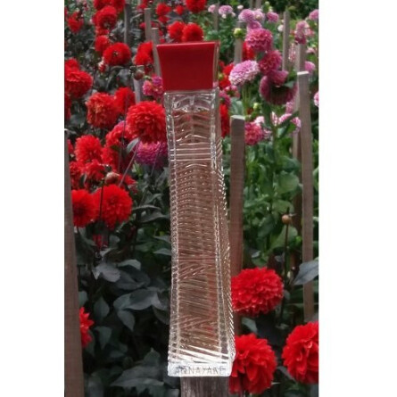 Tsukimi-آنایاکه سوکیمی