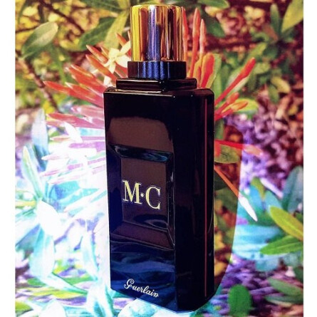 Mon Habit Rouge Taille sur Mesure-گرلن مون هبیت روژ تایل سور مشر