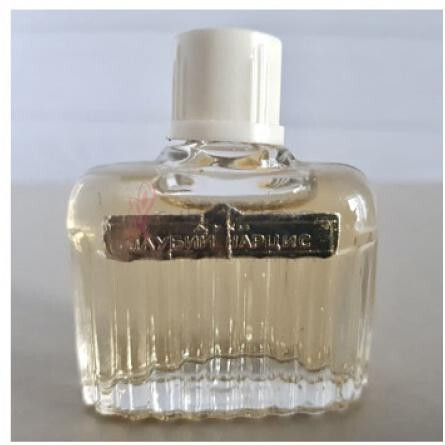 Blue Narcissus - Голубой нарцисс-رد کارنیشن بلو نارسیسوس