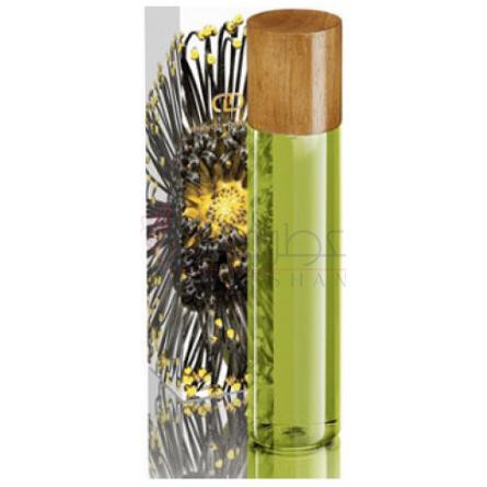 Taiga-دینا دکر تایگا