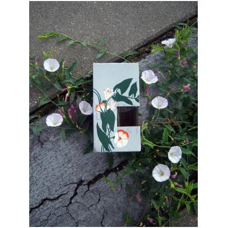 Podarochnye-نوول ایتویل پاداروچنی