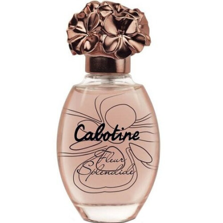 Cabotine Fleur Splendide-گرس کابوتین فلور اسپلندید