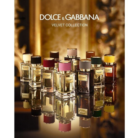 Velvet Amber Sun-دولچه گابانا ولوت امبر سان