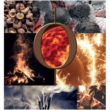 Feu Primitif-جاردین دی فرنس فو پریمیتیف