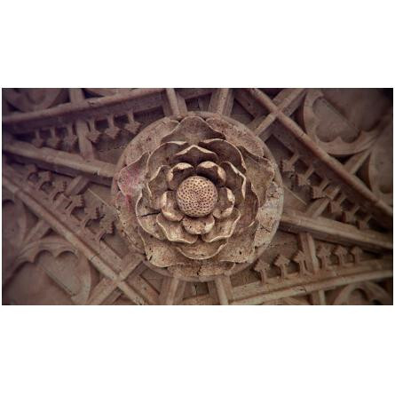 Gümüş-جَنیوئری سن پروجکت گامس