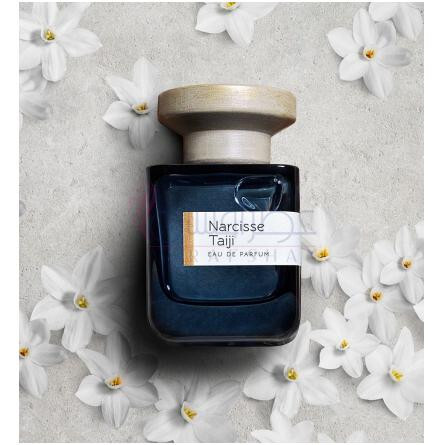 Narcisse Taiji-آتلیه ماتری نارسیس تایجی