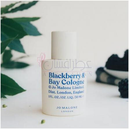 Blackberry & Bay Cologne-جو مالون بلکبری اند بی کلن