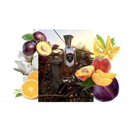 New Paradox-سر پارفومر دی ان ای 2030 نیو پاراردوکس