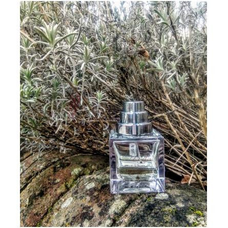 Sublime Balkiss-دیفرنت کمپانی سابلایم بال کیس