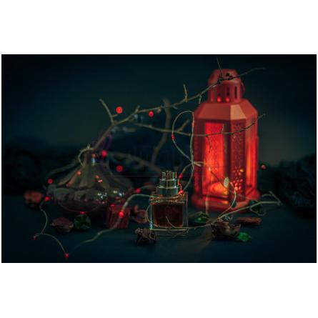 Jasmin de Nuit-دیفرنت کمپانی جاسمین د نویت