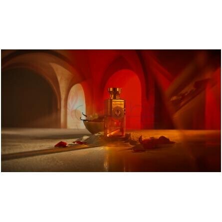 Moroccan Medjool-الکتیموس موراکن مدجول