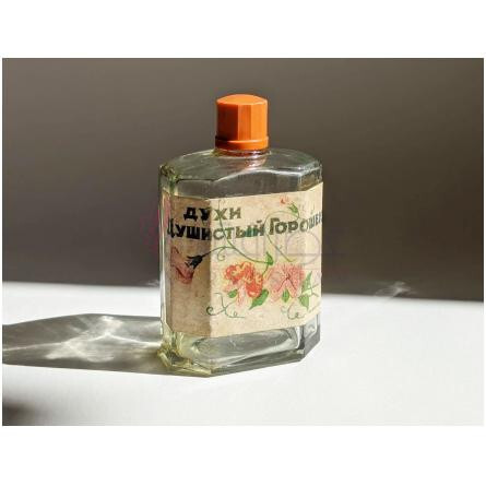 Sweet Pea Душистый горошек-نوول ایتویل سوییت پی