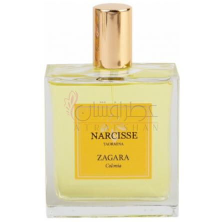 Zagara-نارسیس تائورمینا زاگارا