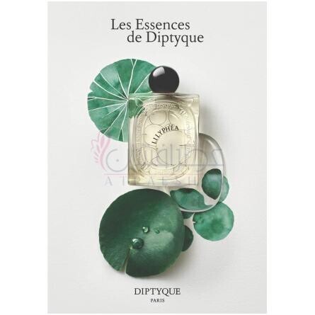 Lilyphéa-دیپتیک لیلیفیا