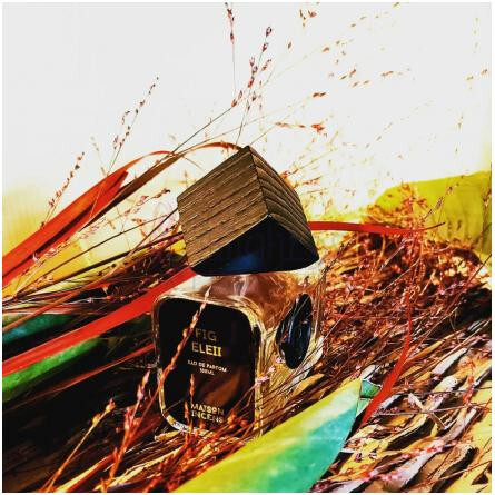 Figue Eleii-میسون اینسنس فیگ ایلی