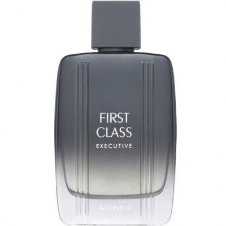 First Class Executive-اگنر فرست کلاس اکسکیتیو