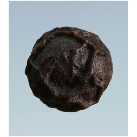 Oud Storm-باربری عود استورم