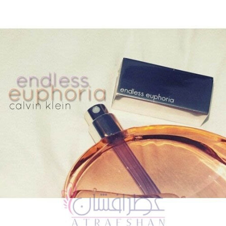 Calvin klein endless euphoria women's best sale perfume