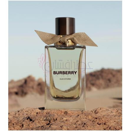 Oud Storm-باربری عود استورم