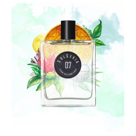 Solsekia 07-پیر گیوم پاریس سولسکیا 07